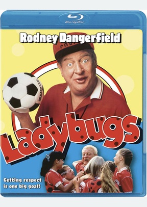 Ladybugs