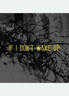 IF I DON'T WAKE UP