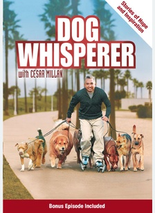 Dog Whisperer with Cesar Millan: Stories of Hope & Inspiration