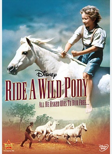 Ride A Wild Pony