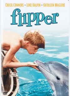 Flipper