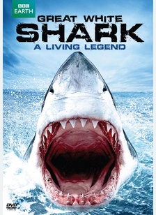 Great White Shark: A Living Legend