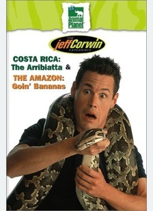 JEFF CORWIN EXPERIENCE, THE-CO