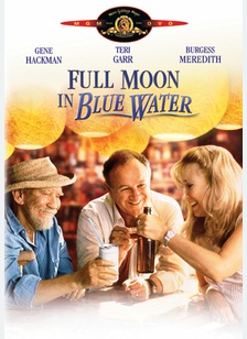 Full Moon In Blue Water