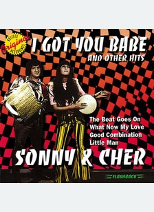 I GOT YOU BABE & OTHER HITS