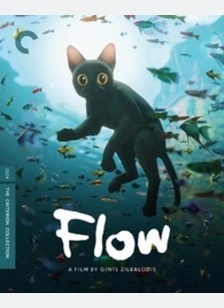 FLOW:CRITERION (4K/BR)