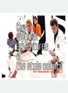 SINGULAR ADVENTURES OF THE STY