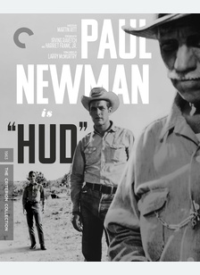 HUD:CRITERION (BR)