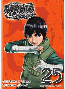 Naruto Shippuden: Box Set 25