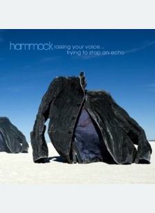 Raising Your Voice...Trying To Stop An E