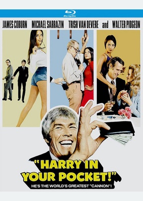 Harry In Your Pocket