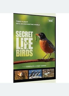 The Secret Life of Birds