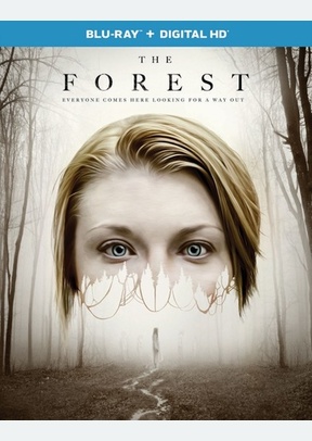 The Forest