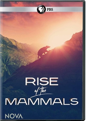 Nova: Rise of the Mammals