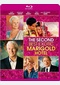 The Second Best Exotic Marigold Hotel