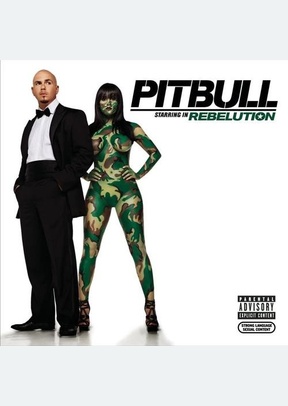 REBELUTION (OOP)