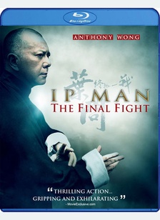 Ip Man: The Final Fight