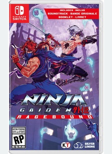 The Game Kitchen Tackles a Classic With Ninja Gaiden: Ragebo