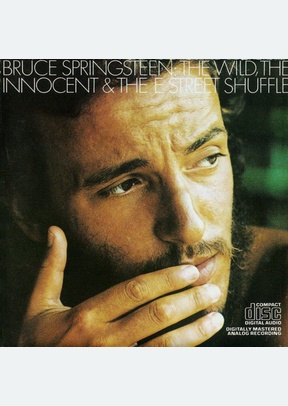 WILD INNOCENT & THE E STREET S
