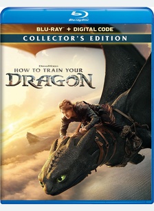 HOW TO TRAIN YOUR DRAGON (BR)