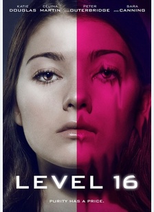 Level 16