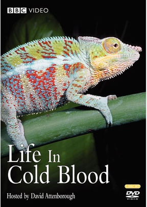 Life In Cold Blood