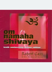 Om Namaha Shivaya (10 Th Anniversary Delu