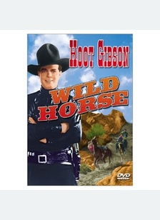WILD HORSE