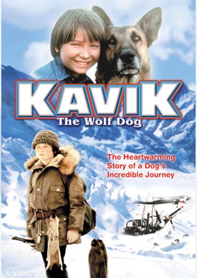 Kavik The Wolf Dog