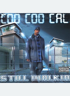 STILL WALKIN