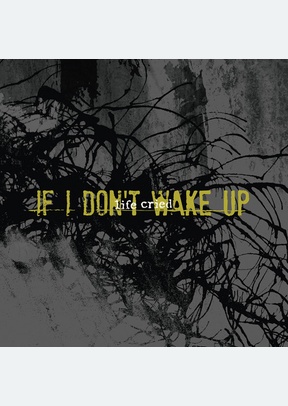 IF I DON'T WAKE UP