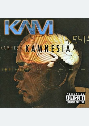 KAMNESIA