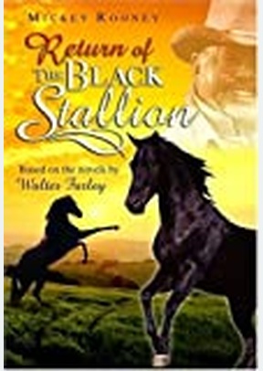 RETURN OF THE BLACK STALLION