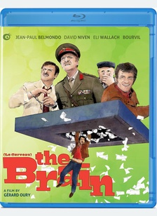 The Brain