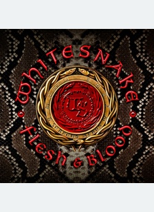 FLESH & BLOOD