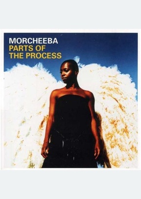PARTS OF THE PROCESS (W/DVD)