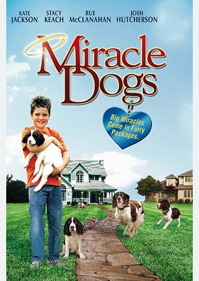 Miracle Dogs