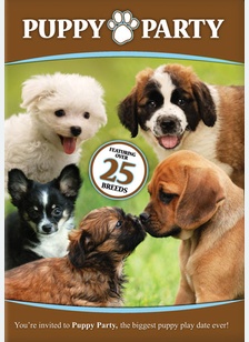 Puppy Party