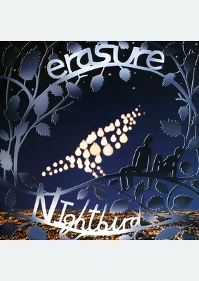 NIGHTBIRD