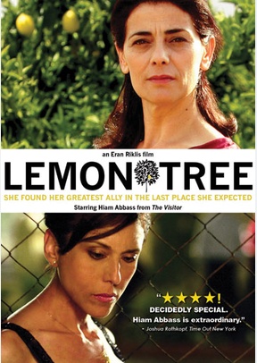 Lemon Tree