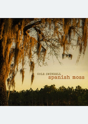 SPANISH MOSS