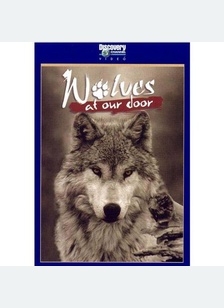 WOLVES AT OUR DOOR