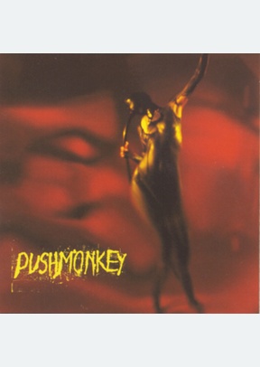 PUSHMONKEY