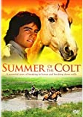 Summer Of The Colt