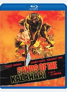 Sands Of The Kalahari