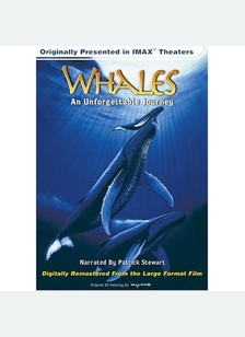 WHALES:AN UNFORGETTABLE