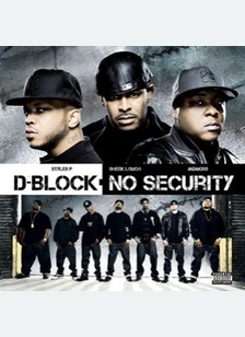NO SECURITY