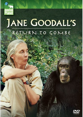 Jane Goodall's Return to Gombe