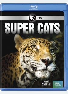 Nature: Super Cats