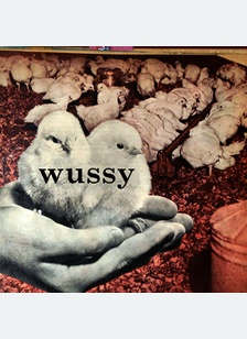 WUSSY